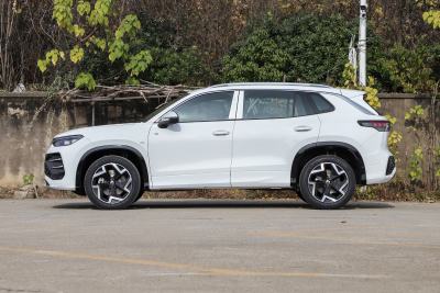 2026款 探岳L 330TSI 两驱精英City包-外观-图片-有驾