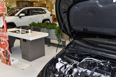 2026款 1.8L 双擎 精英版-外观-图片-有驾