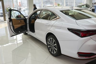 2026款 200 臻享版-外观-图片-有驾