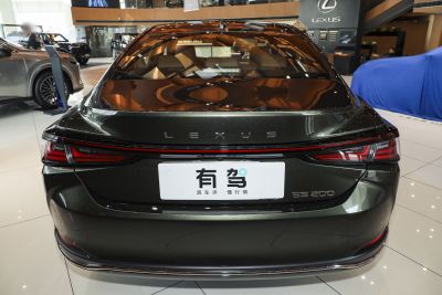 2026款 200 臻享版-外观-图片-有驾