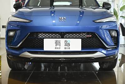 2022款 1.5T GS 燃速版-外观-图片-有驾