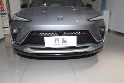 2022款 1.5T GS 燃速版-外观-图片-有驾