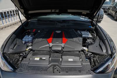 2025款 RS Q8 4.0T 45周年纪念版-外观-图片-有驾