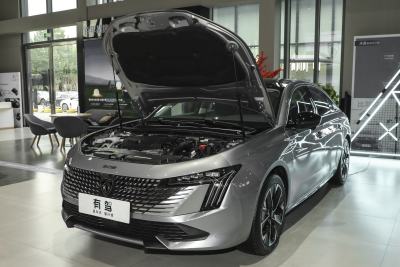 2025款 508L 400THP 驭动旗舰版-外观-图片-有驾