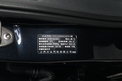 2025款 出众款 380TSI 星空龙腾版-外观-图片-有驾