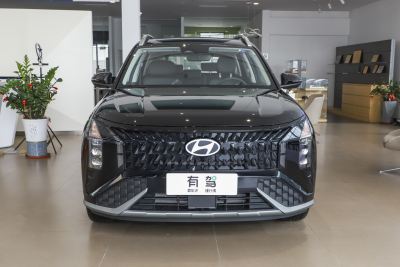 2023款 沐飒 2.0L 旗舰版TOP-外观-图片-有驾