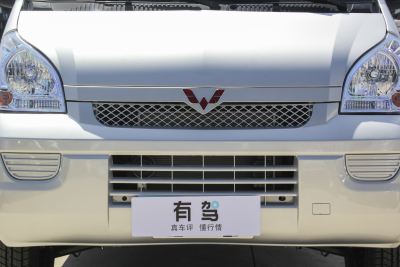 2022款 基本型封窗车2座鹏辉电池-外观-图片-有驾