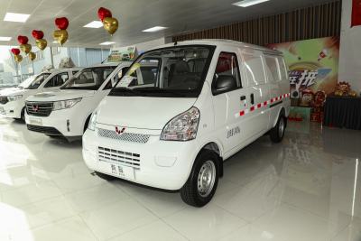 2022款 基本型封窗车2座鹏辉电池-外观-图片-有驾