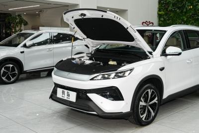 2026款 DM-i 220KM卓越型-外观-图片-有驾