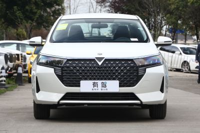 2023款 PLUS 1.6L XE CVT潮领版-外观-图片-有驾