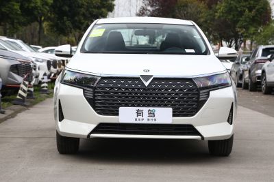 2023款 PLUS 1.6L XE CVT潮领版-外观-图片-有驾