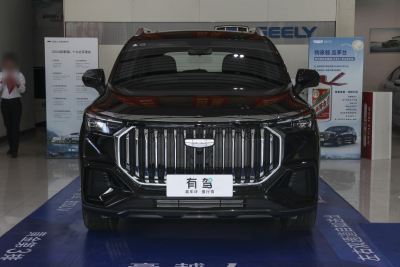 2024款 2.0T DCT尊贵型-外观-图片-有驾