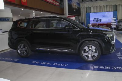 2024款 2.0T DCT尊贵型-外观-图片-有驾