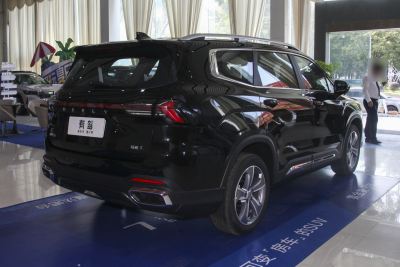 2024款 2.0T DCT尊贵型-外观-图片-有驾