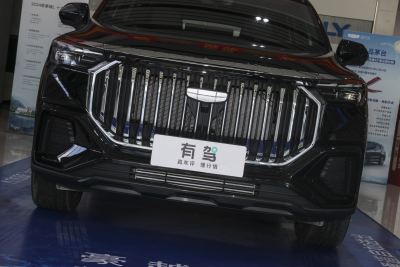 2024款 2.0T DCT尊贵型-外观-图片-有驾