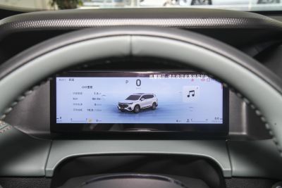 2024款 2.0T DCT尊贵型-内饰-图片-有驾