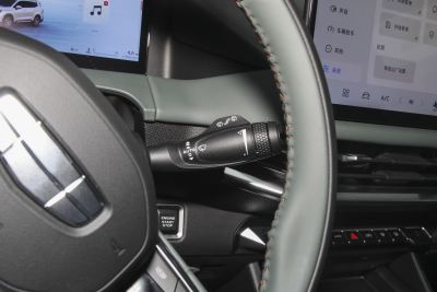 2024款 2.0T DCT尊贵型-内饰-图片-有驾