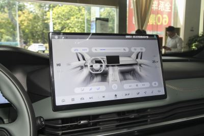 2024款 2.0T DCT尊贵型-内饰-图片-有驾