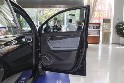 2024款 2.0T DCT尊贵型-内饰-图片-有驾