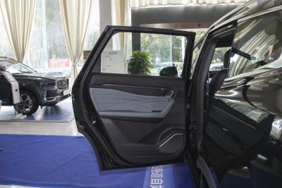 2024款 2.0T DCT尊贵型-内饰-图片-有驾