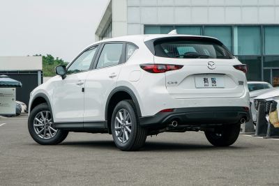 2025款 2.0L 自动两驱智尚型-外观-图片-有驾