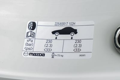 2025款 2.0L 自动两驱智尚型-外观-图片-有驾
