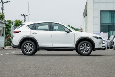 2025款 2.0L 自动两驱智尚型-外观-图片-有驾