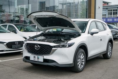 2025款 2.0L 自动两驱智尚型-外观-图片-有驾