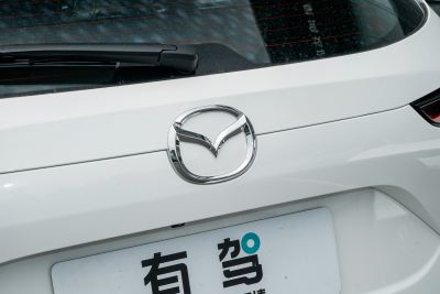 2025款 2.0L 自动两驱智尚型-外观-图片-有驾