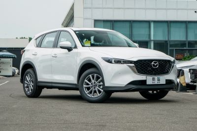 2025款 2.0L 自动两驱智尚型-外观-图片-有驾