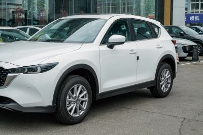 2025款 2.0L 自动两驱智尚型-外观-图片-有驾