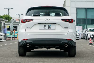 2025款 2.0L 自动两驱智尚型-外观-图片-有驾
