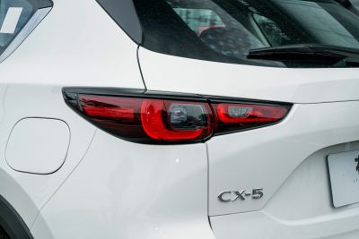 2025款 2.0L 自动两驱智尚型-外观-图片-有驾