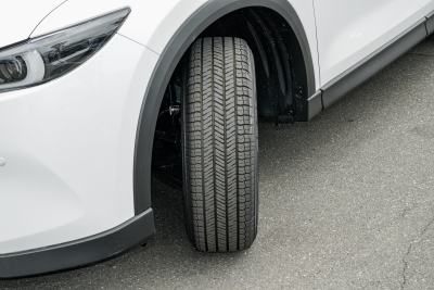2025款 2.0L 自动两驱智尚型-外观-图片-有驾