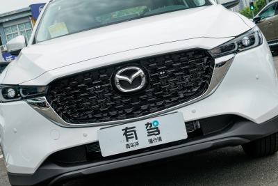 2025款 2.0L 自动两驱智尚型-外观-图片-有驾