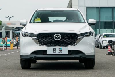 2025款 2.0L 自动两驱智尚型-外观-图片-有驾