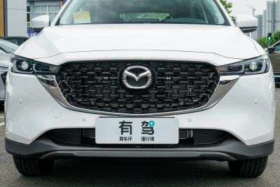 2025款 2.0L 自动两驱智尚型-外观-图片-有驾