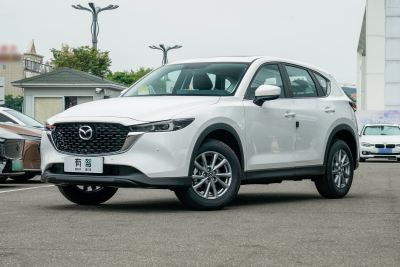 2025款 2.0L 自动两驱智尚型-外观-图片-有驾