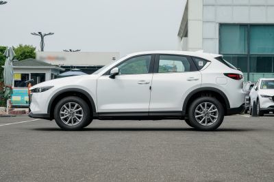 2025款 2.0L 自动两驱智尚型-外观-图片-有驾