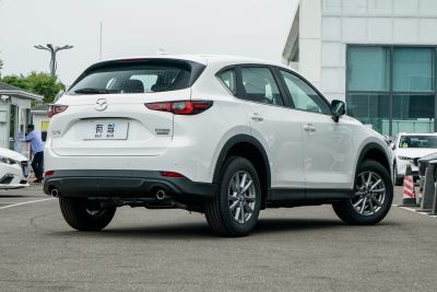 2025款 2.0L 自动两驱智尚型-外观-图片-有驾