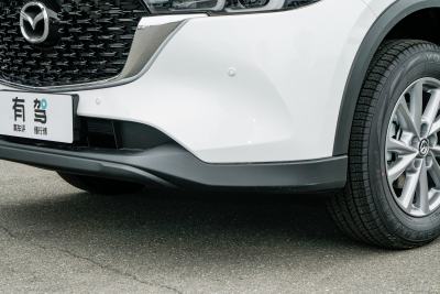 2025款 2.0L 自动两驱智尚型-外观-图片-有驾