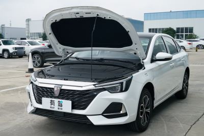 2023款 EV 500天幕大客户版-外观-图片-有驾