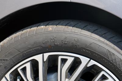 2025款 2.0T 自动旗畅50万辆纪念版-外观-图片-有驾