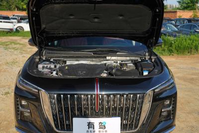 2025款 2.0T 自动旗畅50万辆纪念版-外观-图片-有驾