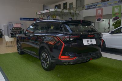 2021款 230T 自动追曜武士版-外观-图片-有驾