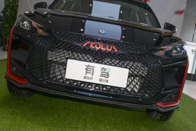 2021款 230T 自动追曜武士版-外观-图片-有驾