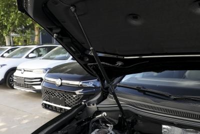2025款 380TSI 旗舰版-外观-图片-有驾