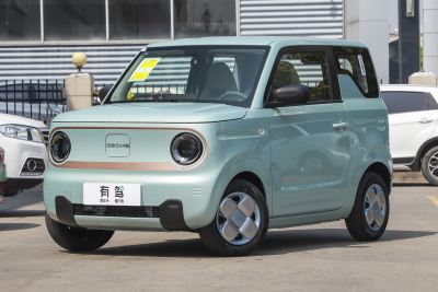 2023款 熊猫mini 120km 超萌熊-外观-图片-有驾