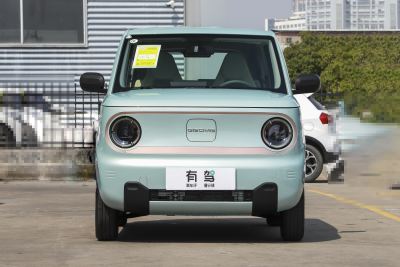 2023款 熊猫mini 120km 超萌熊-外观-图片-有驾