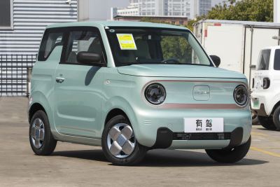 2023款 熊猫mini 120km 超萌熊-外观-图片-有驾